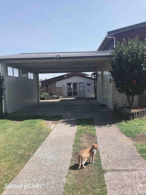Budget Short Rotorua Exterior photo
